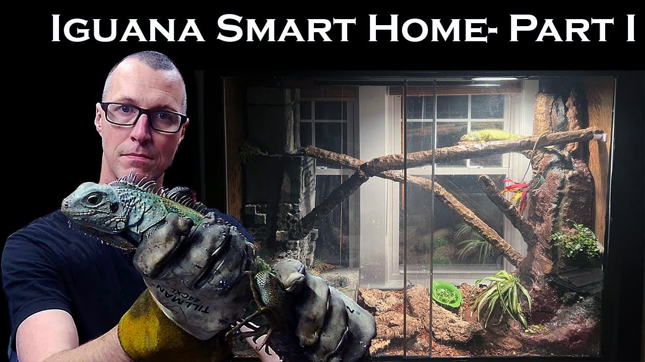 Thumbnail for “Building a Smart Home for My Iguana - Part I”